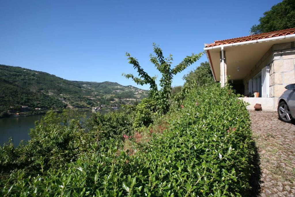 Douro Valley - Casa Do Campo Resende Covelas  Esterno foto